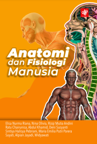 Anatomi dan Fisiologi Manusia
